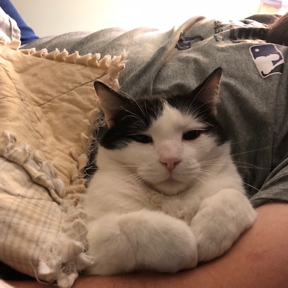 Meet your Posher, Rachael - Picture 1 of 1